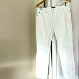 Curve Appeal Minimalist Jegging